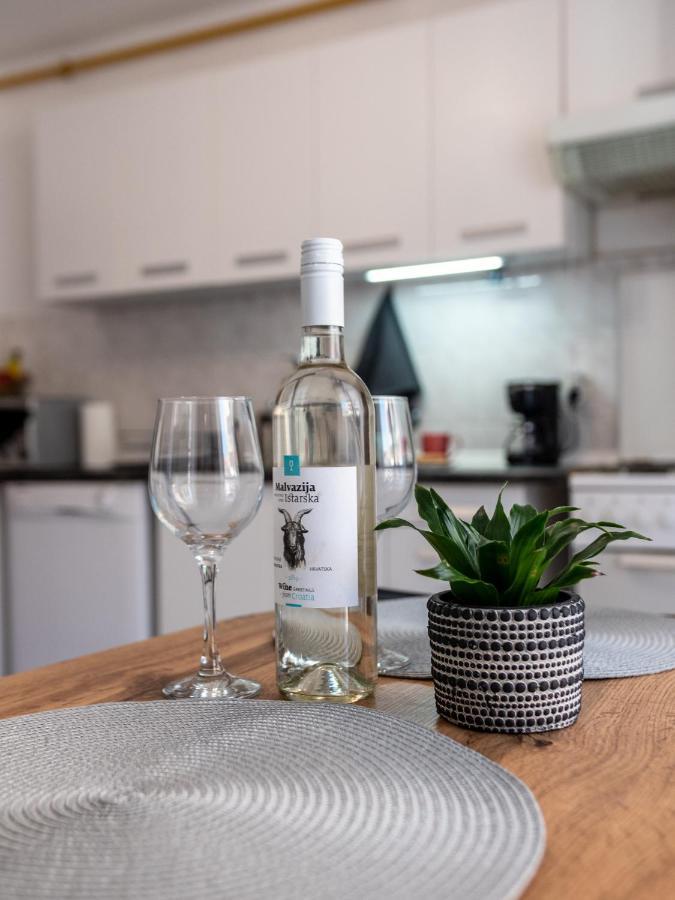 Apartment Viki
