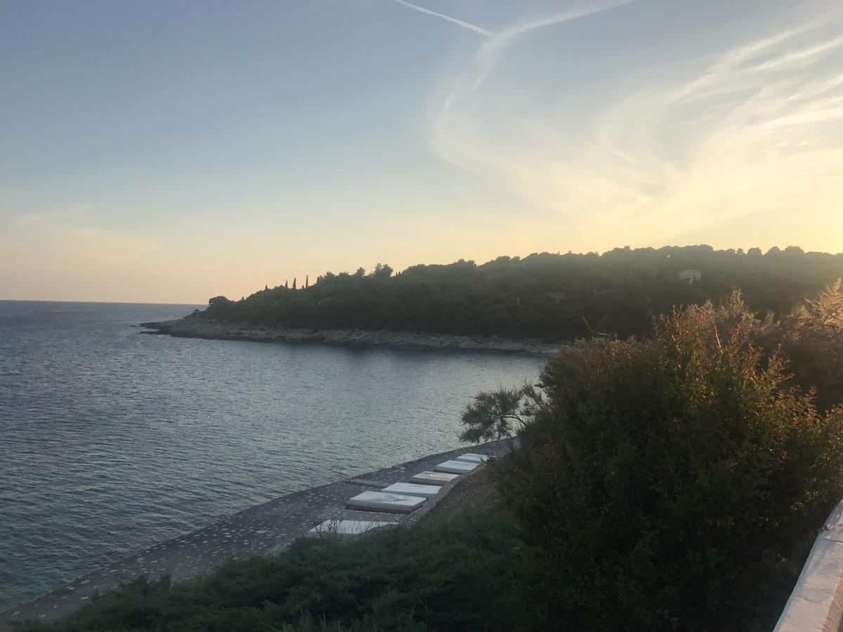 Viki Apartman